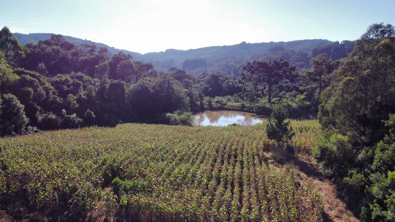 Piv0040Área de Terra 6Ha  Próximo Fazenda Padre Eterno